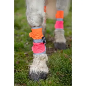 Equisafety Leg Boots Pink/Orange