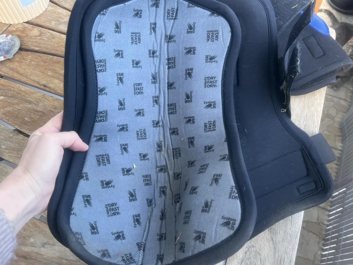 Stable boots postérieurs Evo Veredus Magnetik